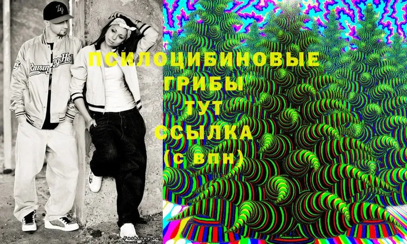 Псилоцибиновые грибы Magic Shrooms  Струнино 